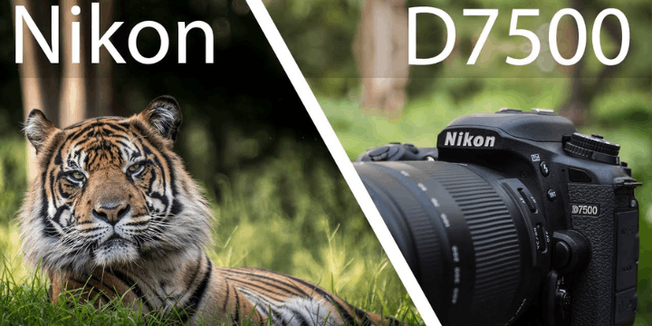 Nikon D7500