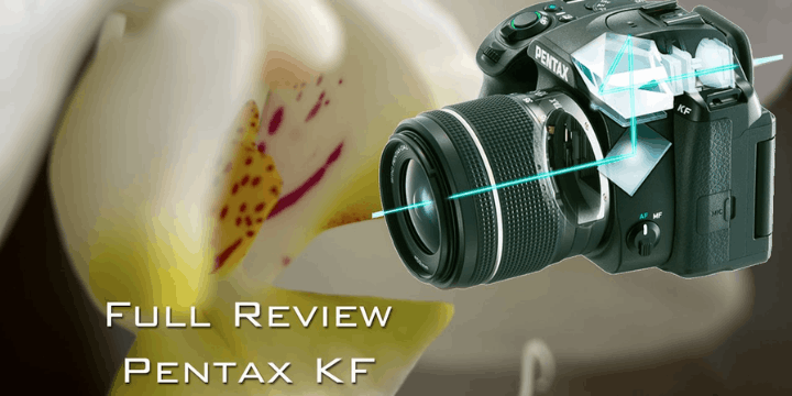 Kecepatan Autofokus dan Performa Low Light