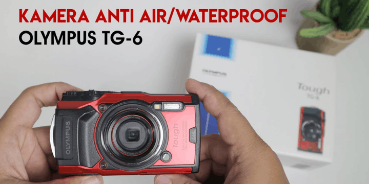 Mode Makro Tercanggih, Variable Macro System