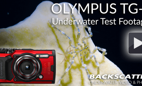 Olympus TG 6