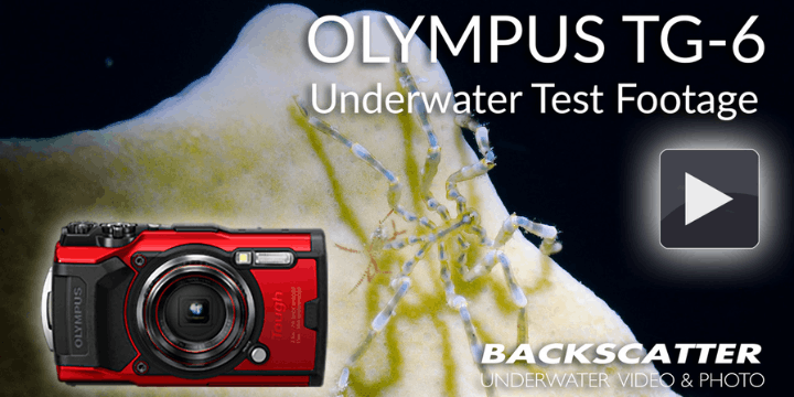 Olympus TG 6